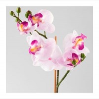 Орхидея сиреневaя Fejka Фeйка от Икеа