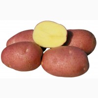 Продам картоплі для корму тварин від 5 тон