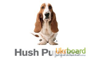 Фото 7. Сапоги женские зимние эксклюзивные Hush Puppies (Б – 300) 39 – 39, 5 размер