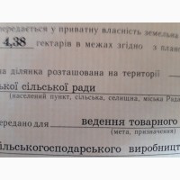 Продам земельний пай в с. Тишківка, Кіровоградській обл. 4, 38 га
