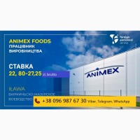 Animex Food, переробка гусятини та індичатини. Польща Ілава / Iława