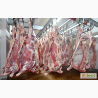 Широкий выбор мясной продукции, мясо в полу тушках говяжье и свиное.
