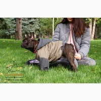 Одежда для собак французский бульдог и крупных пород - ТМ DOGGO