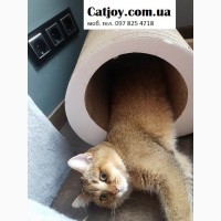 Когтеточка Ампир для домашних питомцев от производителя Catjoy