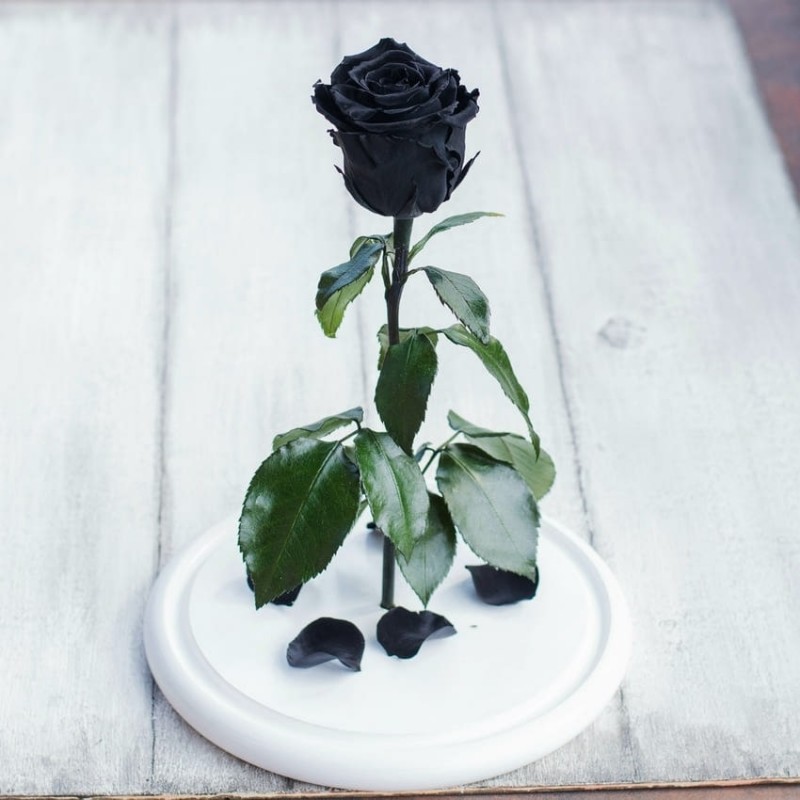 Фото 3. Подарок вызывающий восторг Стабилизированная роза в колбе Lerosh – Standart 33 см, Черная