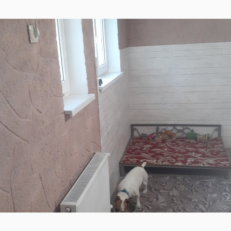 Фото 16. Готель для перетримки собак в Києві -Dogs Hotel Пес