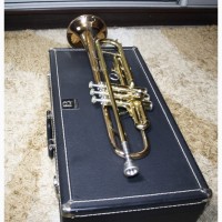 Труба Профі BLESSING Artist Elkhart-Ind USA Оригінал Тампак Золото Відмінний стан Trumpet